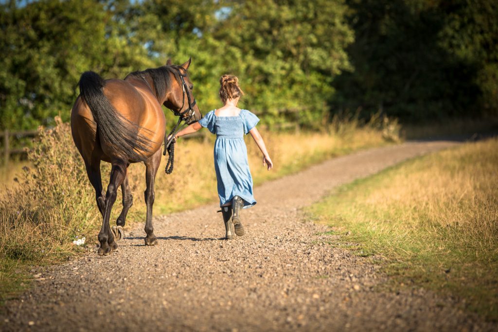 horse and little girl